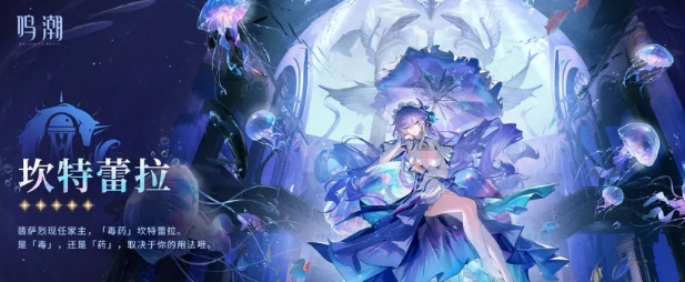 鸣潮坎特蕾拉培养攻略 鸣潮坎特蕾拉怎么培养