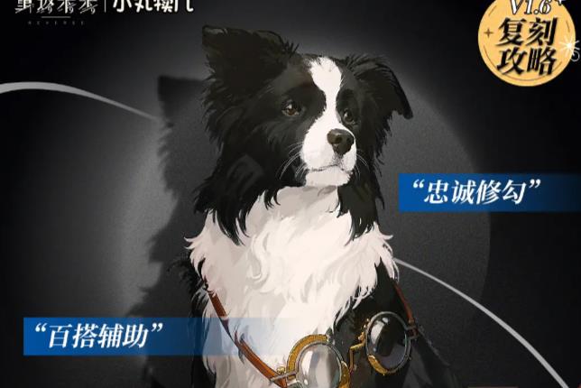 重返未来1999皮克勒斯复刻攻略 皮克勒斯复刻养成心得